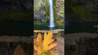 Fall Colors  Horsetail FallsColumbia River GorgeOregon shorts [upl. by Nyleimaj]