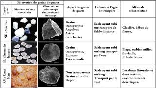 Étude morphoscopique des grains de quartz dun sable شرح بالعربية [upl. by Clement]