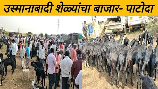 उस्मानाबादी शेळ्यांचा बाजार पाटोदा osmanabadi goat marketpatoda [upl. by Nnyleuqcaj278]