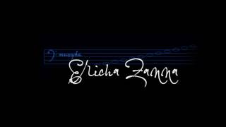 quotThe Music of Erich Zannquot  violin solo [upl. by Aerdnaid]