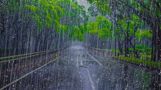 Merveilleux Bruit de FORTE PLUIE pour Dormir et se détendre  Sons de Pluie dans la forêt brumeuse [upl. by Kinsman]