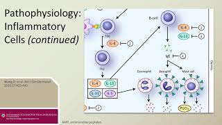 Treatment of ModerateSevere Atopic Dermatitis Line 1 Stop 3 Inflammatory Cells [upl. by Aiceled]