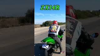 2 LEGENDARY HYPER BIKES KAWASAKI ZX14R VS SUZUKI HAYABUSA [upl. by Ermine]