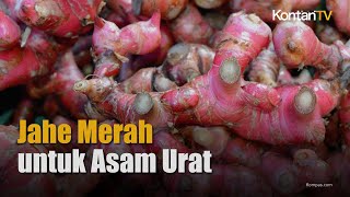 Cara Membuat Ramuan Jahe Merah untuk Mengobati Gangguan Asam Urat  KONTAN Info Sehat [upl. by Irena]