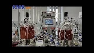 KNIK BIO bentchtop glass cell bioreactor [upl. by Gnanmos]