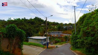 Las Montañas en Puerto Rico  De Guaynabo a Bayamón  Cinco Calles [upl. by Aicirtak]