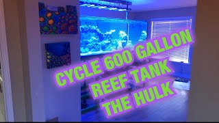 How to Cycle a Reef Tank with fritz turbo start 900 on 600 gallon reef tank [upl. by Gnas]