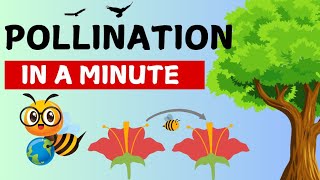 Pollination for Kids Plant Pollination in FlowersLearninglounge209 [upl. by Tnias343]