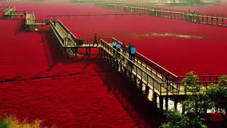 LA PLAYA ROJA CHINA [upl. by Vincentia473]