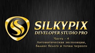 Silkypix developer studio ЧАСТЬ  4 Работа с пипетками Авто установки [upl. by Solhcin788]