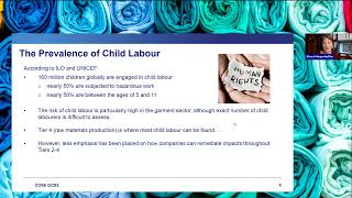 Remediating Child Labour Risks and Impacts Beyond Tier 1 [upl. by Anrahc]