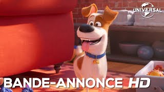 Comme Des Bêtes 2  Bandeannonce 2 VF Au cinéma le 31 juillet 2019 [upl. by Sitruc484]