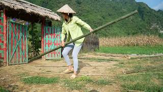 LIVING OFF GIRL Building a Bamboo Corridor Gate on the Farm Life on the Farm  BUILD LOG CABIN [upl. by Schifra]