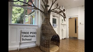 Caterham School Tree Pod [upl. by Winshell420]