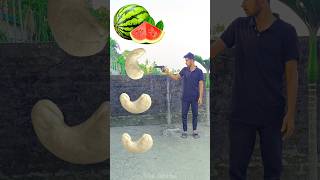 Rounding cashew nut to Grapes Mango lichi amp Watermelon  Fruits names magic video [upl. by Ardin]