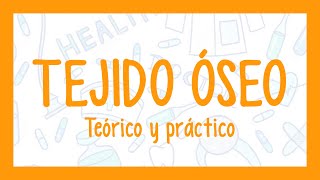 TEJIDO ÓSEO  ¡Fácil explicación Histología [upl. by Nellahs]