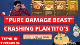 PURE DAMAGE BEAST  CRASHING PLANTITOS  BBP AXIE INFINITY [upl. by Dlonyer]