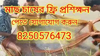 Fish Farming Free Training মাছ চাষের ফ্রি প্রশিক্ষন পেতে যোগাযোগ করুন [upl. by Mavilia]