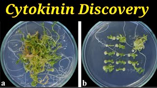 Cytokinin Discovery  Lec 52  Plant Physiology [upl. by Apoor]