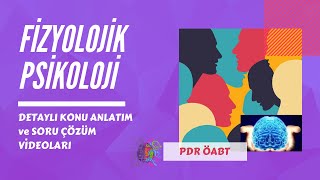 1 Fizyolojik Psikoloji Dersi Detaylı Konu Anlatımı  PDR ÖABT [upl. by Nivled]