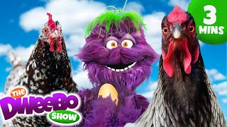 🐓🐣Learning The Life Cycle of a Chicken  Educational Videos for Kids  Learning for kids  Dweebo [upl. by Allit]