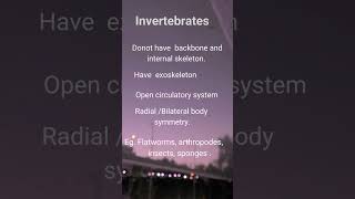 invertebrates  difference between vertebrates and invertebrates [upl. by Loredo]