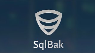 How to start with SqlBak on Linux [upl. by Haliehs]