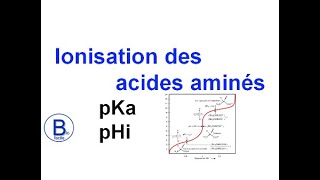 Ionisation des acides aminés  pKa  pHi isoélectrique [upl. by Ulrikaumeko]