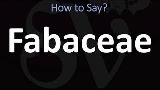 How to Pronounce Fabaceae CORRECTLY [upl. by Anale]