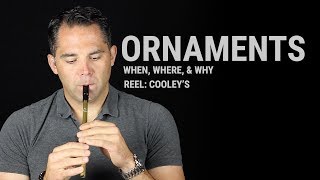 Tin Whistle Lesson  Ornaments When Where amp Why Cooleys Reel [upl. by Eelyr767]