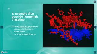 Biochimie structurale des protéines [upl. by Dedrick315]