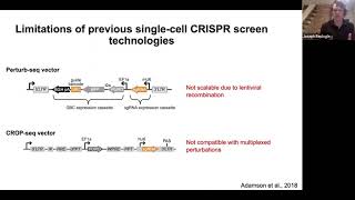 Scalable amp combinatorial singlecell CRISPR screens by direct gRNA capture amp targeted sequencing [upl. by Moshell385]