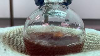 Fischer Esterification [upl. by Ahsaekal]