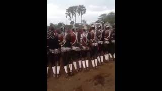 Maasai Warriors  Parakuyo Morogoro Tanzania 🇹🇿 [upl. by Araldo]