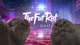 TheFatRat  No No No cat parody [upl. by Ax85]