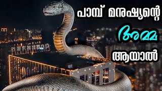 Snake Girl 2021 Explained In Malayalam  She Zhi Nu Explained In Malayalam [upl. by Quinby319]