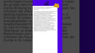 29102024  Diese 3 Sternzeichen Hundeliebhaber mit einem Herz für Vierbeiner [upl. by Drugge]