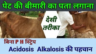 ruminal acidosis alcalosis in cattle Buffalo एसिडोसिस अल्क्लोसीस ph rumen अम्लीयता क्षारीयता [upl. by Georas258]