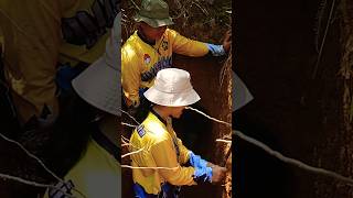 Bauxite bauksit geology mining sampit kalteng videoviral fypシ fyp viral shorts viralvideo [upl. by Nerwal745]