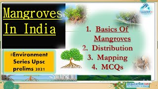 Mangroves In India  Environment  Mangrove Forest  Ncert Geography  Mangrove Ecosystem  UPSC [upl. by Joachim]