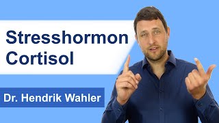 Das Stresshormon Cortisol und seine Wirkung im Körper [upl. by Aicemat18]