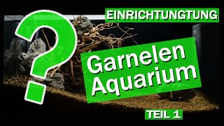 EINRICHTUNG EINES AQUARIUMS FÜR ZWERGGARNELEN  WICHTIGE GRUNDLAGEN  RoyalShrimpde [upl. by Fedak]