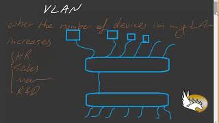 VLAN Overview [upl. by Nalyak]