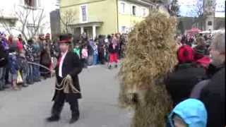 Narrentreffen in Hausach 2014 [upl. by Ailelc]