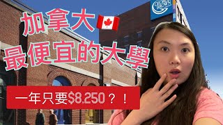 加拿大🇨🇦學費最便宜的大學  Top 7 Cheapest Colleges in Canada [upl. by Repip]