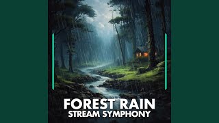 Forest Rain Stream Symphony Pt 45 [upl. by Ettelocin]