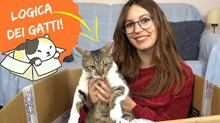 24 ORE IN UNA SCATOLA CON IL MIO GATTO logica dei gatti 🎁🐱 [upl. by Aretse]