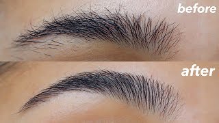 HOW TO GROOM  SHAPE YOUR EYEBROWS super easy  at home [upl. by Herates]