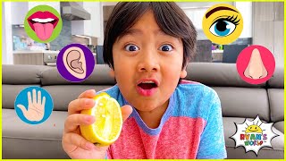 The Five Senses and more 1 hr kids educational learning video [upl. by Eidoc346]