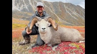 Yukon Stone Sheep Hunt 2021 [upl. by Melena]